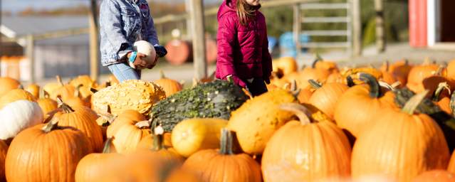 Roba Family Farms