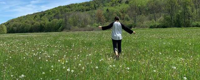 Lackawanna State Park