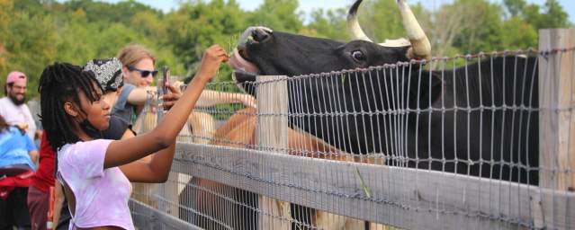 Indraloka Animal Sanctuary in Dalton, PA