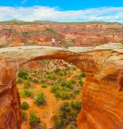 Rattlesnake Canyon Arches