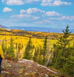 A Male and A Female Look out at the Fall Colors on the Grand Mesa