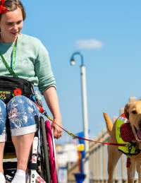 A wheelchair user and their dog on the Grand Pier at Weston-super-Mare near Bristol - credit The Grand Pier