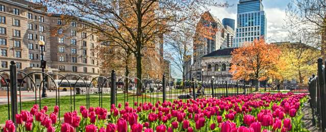 Copley Square in Spring
