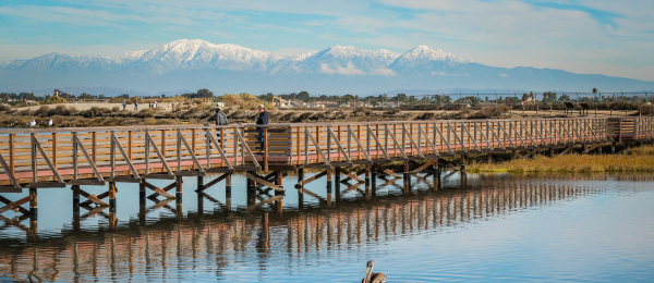 Bolsa Chica Wetlands