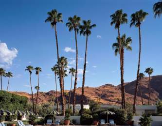 Parker pool, palm trees, moutains