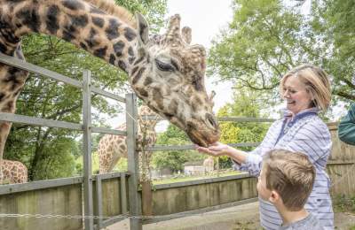 Attractions in Devon