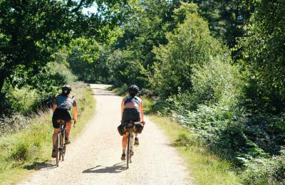 2 people cycling along path in the New Forest