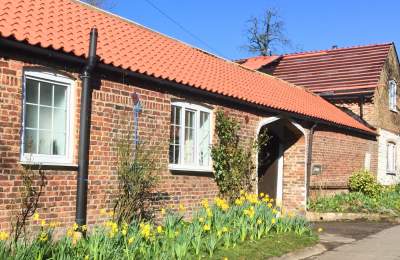 The outside of Cupid's Cottage with a row of daffodils at Bessingby Mews near Bridlington.