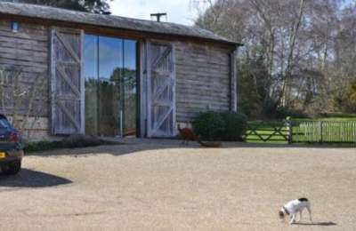Dog in the garden outside large self catering property in the New Forest