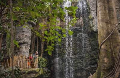 Omaha's Henry Doorly Zoo and Aquarium