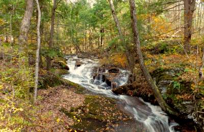 Franish: a weekend in the poconos