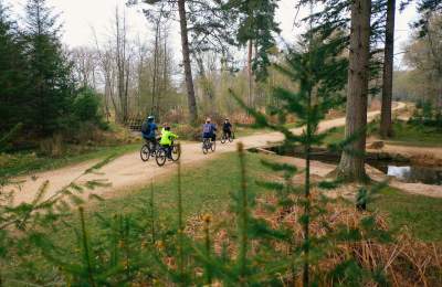 Family cycling down pathway during winter in the New Forest - Cycling Fam Insp