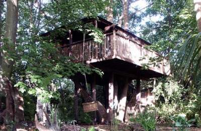 Castle Cottage Tree House