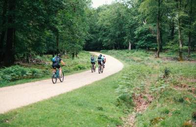 The Woods Cyclery - Group riding