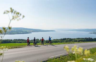 Utsikt over Mjøsa langs sykkelruta Mjøstråkk