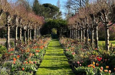 Rymans Garden
