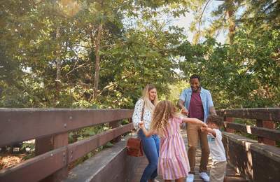 Family on the bridge