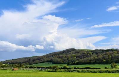 Bignor Farms Camping