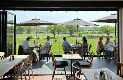 People sitting on a deck overlooking a vineyard