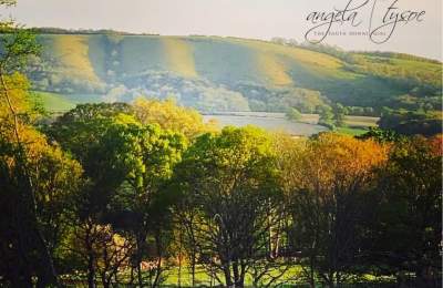 South Downs view