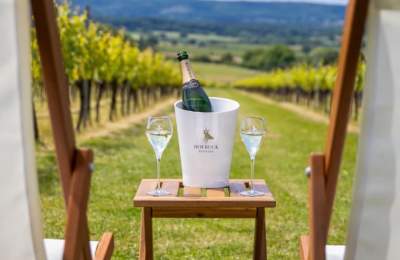 Two deckchairs and wine glassed at Roebuck Estates Vineyard
