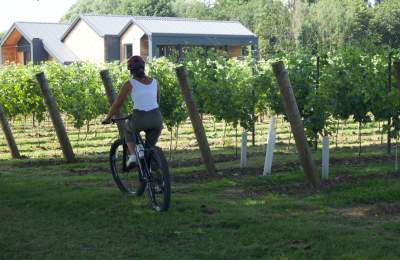 TGSW wine route