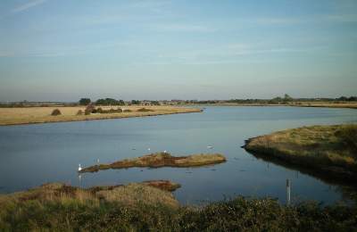 Thorney Island