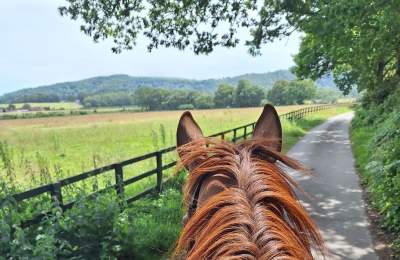 Riding, South Downs National Park