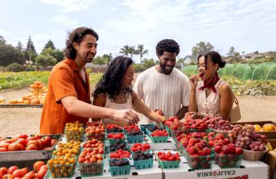 Four people at a farm stand looking at punnets and trying berries