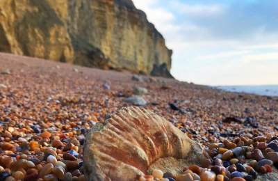 Jurassic Coast Dorset - Visit