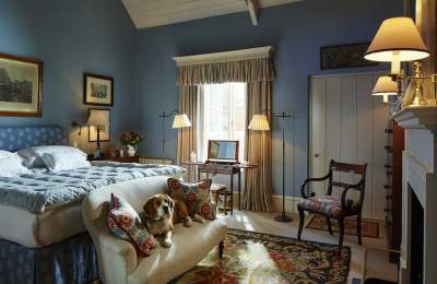 Dog in Hound Lodge bedroom, Goodwood