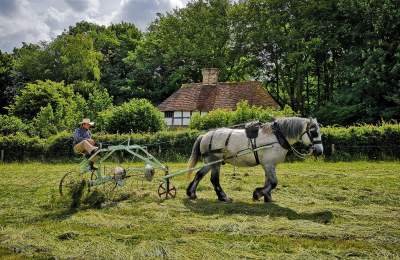 Weald & Downland Living Museum