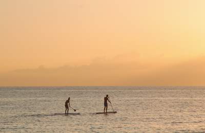 two people paddle boarding in the ocean
