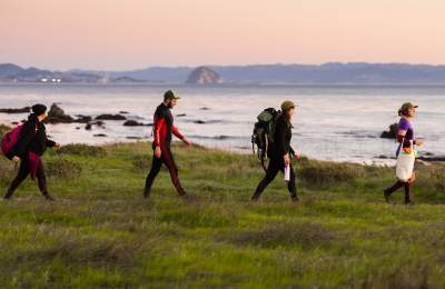 people on a kelp-foraging tour with Kelpful