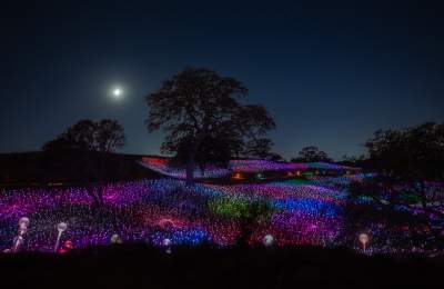 Colorful lights on a hills with trees and under the moon