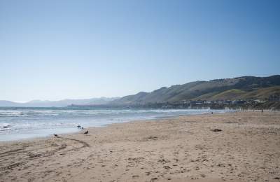Coastline from the beach with birds, ocean and blue sky