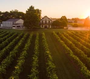 sunrise over Beachaven Vineyards and Winery