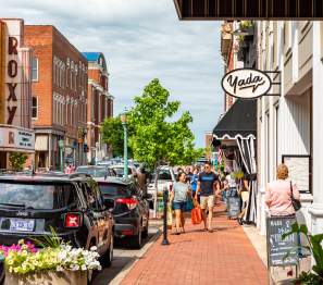 shoppers on a downtown street