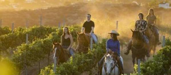 Enjoy Temecula Valley Sunsets