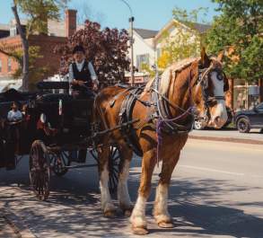 Horse carriage