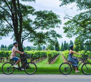 Couple biking in the vineyard