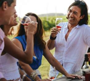 Group of people in conversation and sipping wine in a vineyard.
