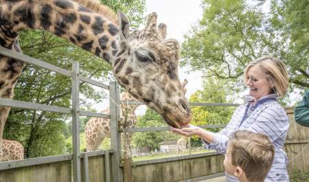 Attractions in Devon