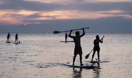 Paddle boarding in Devon