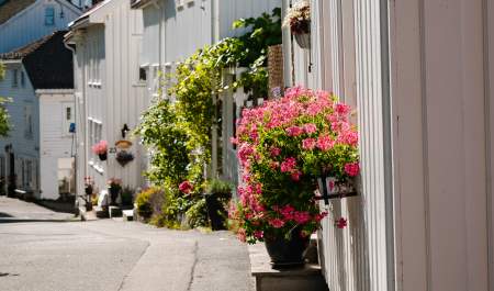 hvitt trehus