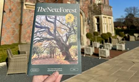 2025 New Forest Guide