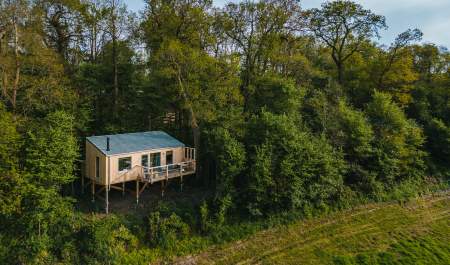 Elmore Court treehouse in a wood clearing
