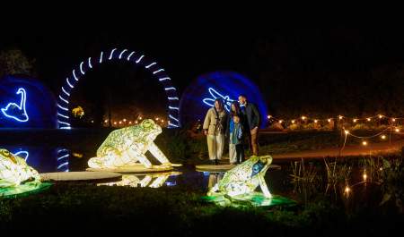 Illuminated wildlife sculptures and visitors enjoying a night-time light trail at WWT Slimbridge in the Cotswolds.