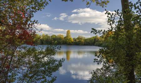 A lake glistens in the sun surrounded by trees and bushes