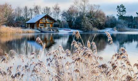 A wintery view across a lake to a wooden log house with frost covered plants in the foreground